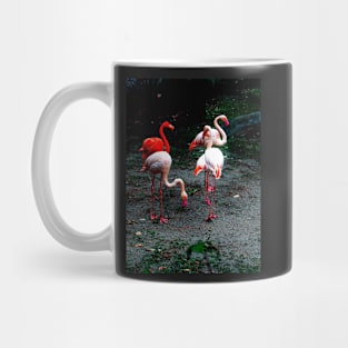 Pink and red flamingos Mug